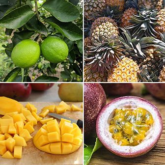 Lime, Pineappl, Mango and Passion Fruit for Tropical Cider at Goanna Brewing